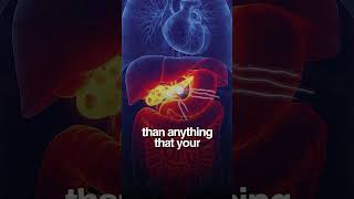 Triglyceride/HDL Ratio: The Metabolic Marker Doctors Ignore