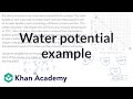 Calculating Water Potential in Sucrose Solutions