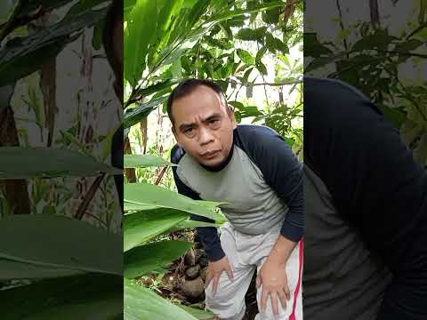 yuk kita ketawa bersama #funny