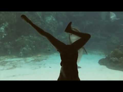 Girl Makes Dolphin Laugh (EXTENDED) ORIGINAL VIDEO