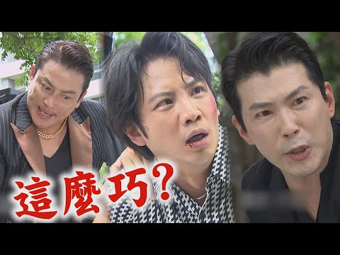 【願望】EP254 世宗極力求和遭美妍無視...只好求助曉春 顧成被世賢派人"處理"!勝強耀武趕來救人｜完全娛樂