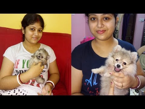 Bengali Vlog # আমি তোমাদের গুবলু সোনা | এই হলো আমার ছোটো বেলার গল্প | Story of Gublu”s Childhood