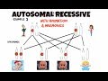 Genetic Disorders and Inheritance Patterns