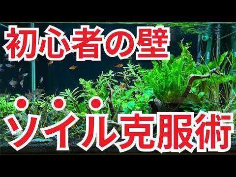 【初心者必見】アクアリウムでソイルを使ってはいけない!? 5つの失敗例から学ぶ正しい使い方