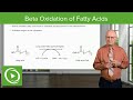 Beta Oxidation and Fatty Acid Metabolism