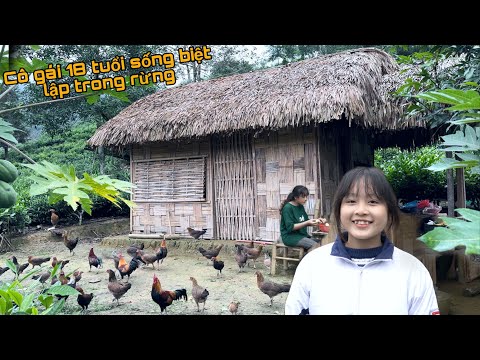 Cô Gái 18 Tuổi Sống Biệt Lập Trong Rừng Nuôi Gà Rừng, Tôi Ngỏ Lời Muốn Sống Chung.