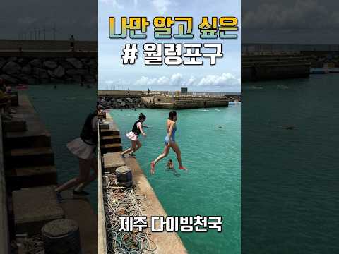 제주도 월령포구 ~ 이제 판포포구 말고 월령포구 가세요 #월령포구 #제주도가볼만한곳 #<strong>제주여행</strong>  #제주도