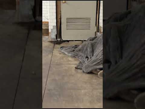 Army of Rats in NYC Subway