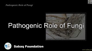 Pathogenic Role of Fungi