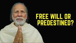 Is Life Predestined or Do We Have Free Will? The Truth Will Shock You