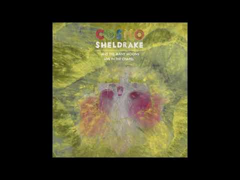 Cosmo Sheldrake - I Stitched My Mind Back To My Body (Live in the Chapel)