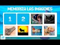 Entrenamiento de Memoria a Corto Plazo