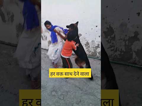 घर का हिमायती