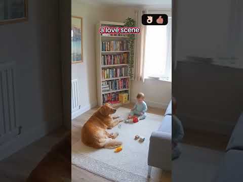 Phillies land All-Star closer Jhoan Duran ahead of MLB trade deadline 👀🔥 #JhoanDuran