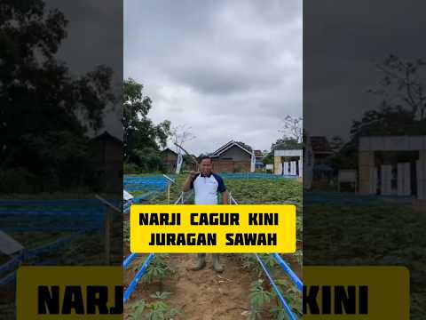 Narji Jadi Juragan Sawah, Denny Disindir!