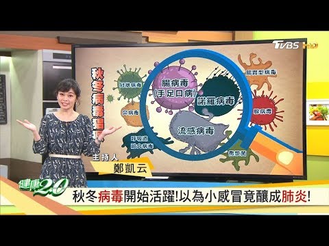 小感冒竟釀成肺炎！小心秋冬病毒開始活躍！ 健康2.0 20191130 (完整版)