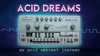 Acid Dreams - TB303 Acid Mix