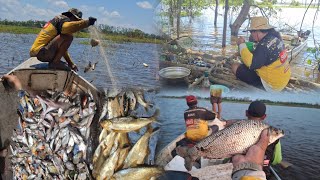 APAPÁ/CURIMATÃ/RUELO PEGO DE MALHADEIRA EM LAGO NO AMAZONAS E PREPARANDO CALDEIRADA♡