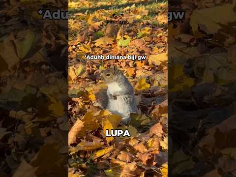 KETIKA LUPA JADI MANFAAT ๐
๐