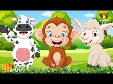 Adorable Animal Moments: Cheetah, Monkey, Sheep, Cow, Clownfish, Civet - Animal Sounds