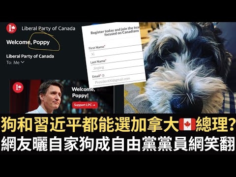 狗和習近平都能投票🗳️選加拿大🇨🇦總理？網友曬自家狗成自由黨黨員網笑翻！【直播精華】（2025/01/10）