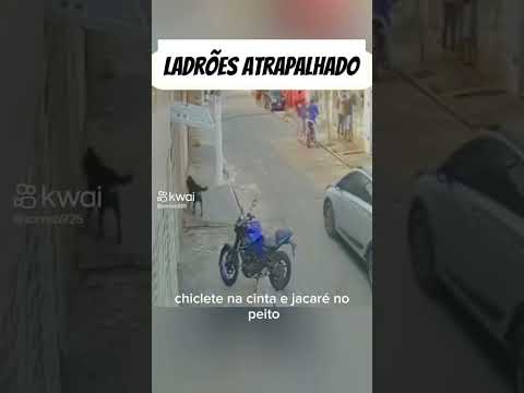 Madeirada 🥇 #favela #roubos #vizinho #motovlog #favelado #ufc #mma #mmafighter #nafavelatocaquem #so