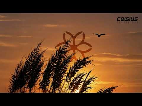 Lucidity - Summer Nights