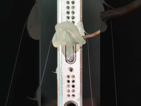 Cleaning iPhone Charging Port with Hot Glue Plug❌😵 #asmr #satisfying #cleaning #waitforit