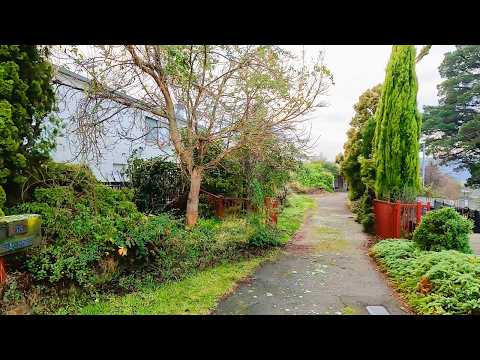 EXTREME Garden Restoration: The BIGGEST Cleanup!