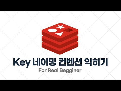 Redis 입문·실전 - 2.3. Redis에서 Key 네이밍 컨벤션 익히기