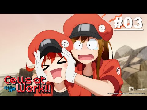 Cells at Work!! - Episode 03 (S2E03) [English Sub]