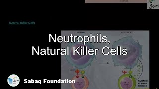 Neutrophils, Natural Killer Cells