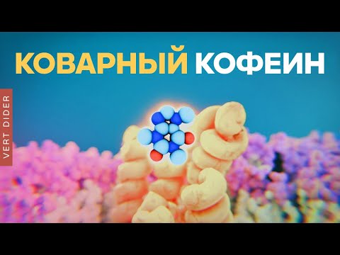 Как работает кофеин? [Clockwork]