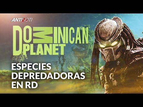 Especies Depredadoras Causan Graves Daños | Antinoti Segmentos