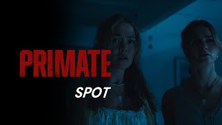 PRIMATE | Trapped 37 | Kinostart: ab 29.1.