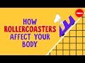 Roller Coaster Safety and Design