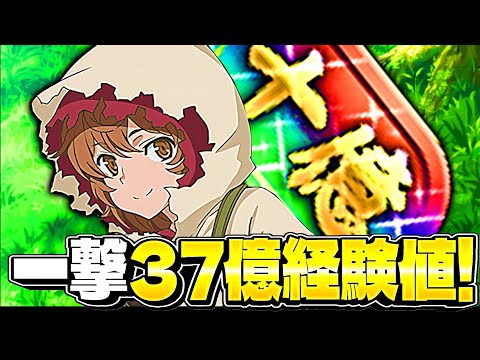 【新時代】一撃37億！リリルカ×アイズのランク上げ編成がヤバすぎた未知ラッシュ【パズドラ】