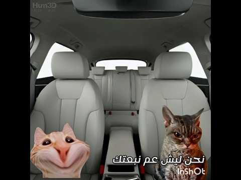 قرب الدخول المدراسي🗿👾 #لايك_اشتراك #مهتم بي هذا المحتوى فولو مي🎀#اكسبلور #cat #كوميديا #غزا تموت جوع