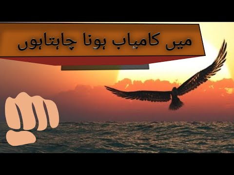 “I Want To Be Successful | A Story That Will Change Your Life | Best Motivational Speech in Urdu”
