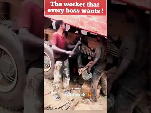 The worker that every boss wants !