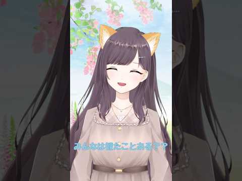 thumbnail_BvNxcnwFT3s