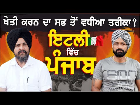 ਖੇਤੀ ਕਰਨ ਦਾ ਸਭ ਤੋਂ ਵਧੀਆ ਤਰੀਕਾ? ਇਟਲੀ ਵਿੱਚ ਪੰਜਾਬ | Sarbjit Singh Dhunda | ssdhunda | #Italy #Panjab