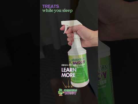 How Green Bean Buddy Ended Our Bed Bug Nightmare