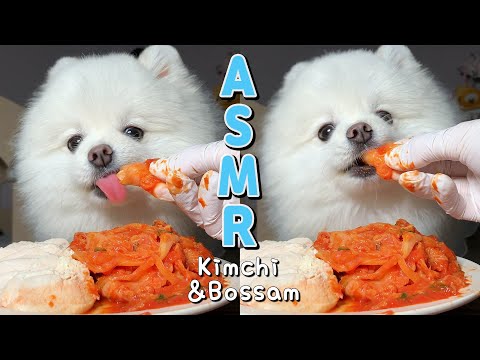 ENG| ASMR 잠든 엄마 몰래 강아지 보쌈김치 먹기 Eating Sounds |HongSnow