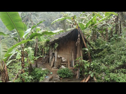 Suasana Pedesaan dan Perkampungan di Jawa Barat, Indonesia || Rural Life Indonesia