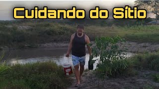 Sertanejo Não Para: A Luta Continua