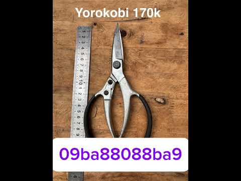 Giao lưu chia sẽ Cùng ae đam mê nghệ thuật tools for bonsai #bonsai #bonsaiart #bonsaitools