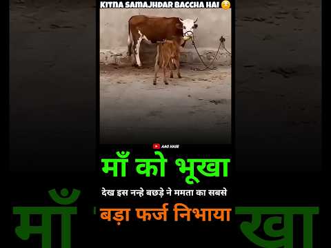 बच्चे का प्यार ☺️ #motivationalvideo #motivation #inspiration #success #motivationalquotes #Short