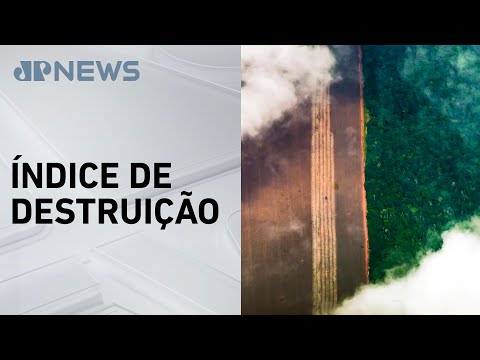 Alerta de desmatamento na Amazônia cai 45% , segundo dados do Inpe