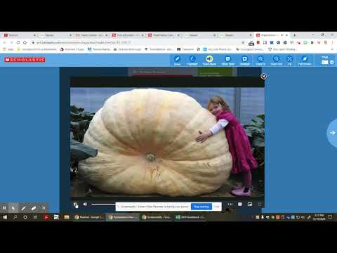 Scholastic Pumpkin Video - YouTube